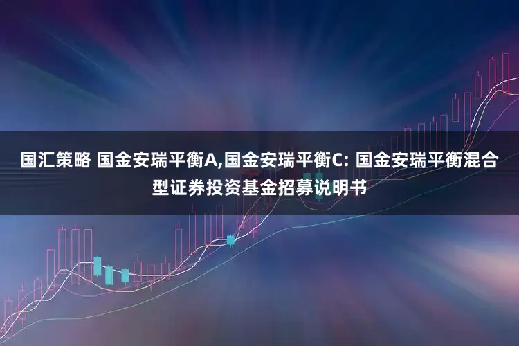 国汇策略 国金安瑞平衡A,国金安瑞平衡C: 国金安瑞平衡混合型证券投资基金招募说明书