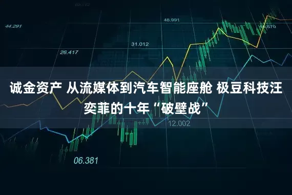 诚金资产 从流媒体到汽车智能座舱 极豆科技汪奕菲的十年“破壁战”