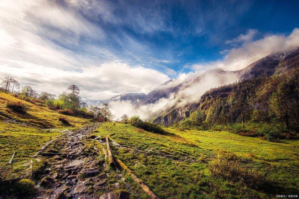 尚红网 西藏 60 年风华路，为何说墨脱是 “最后一扇门”？跟着日记穿越云海秘境找答案